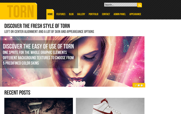 Torn WordPress Theme