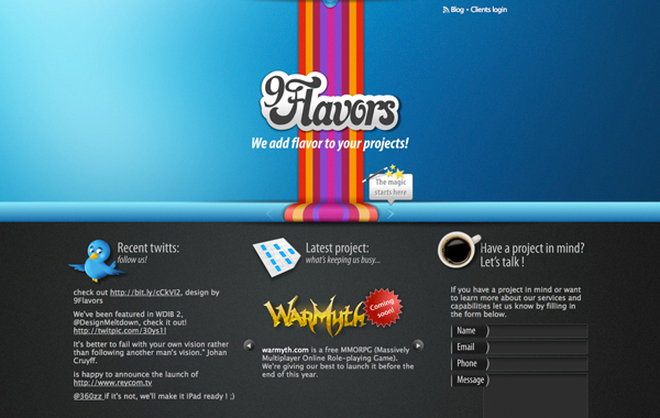 9Flavors Web Design & Development