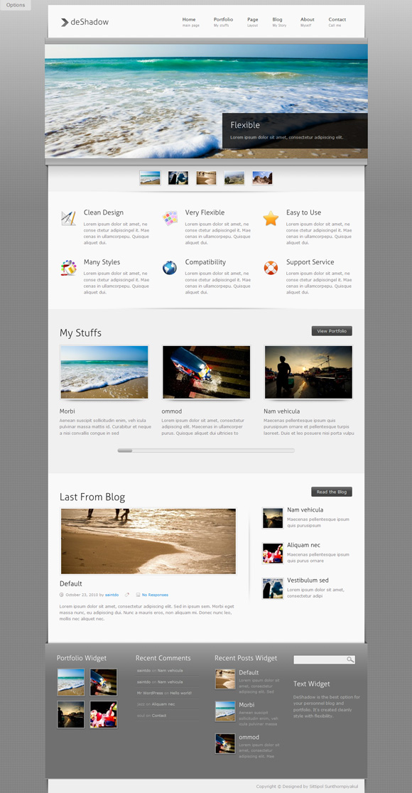 deshadow 40 Superb and Clean Wordpress Themes of February 2011