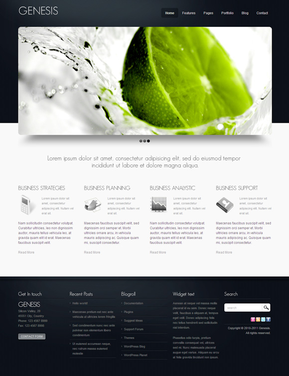 genesis 40 Superb and Clean Wordpress Themes of February 2011