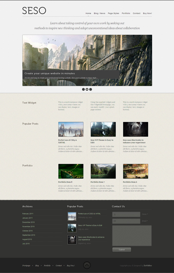 seso 40 Superb and Clean Wordpress Themes of February 2011