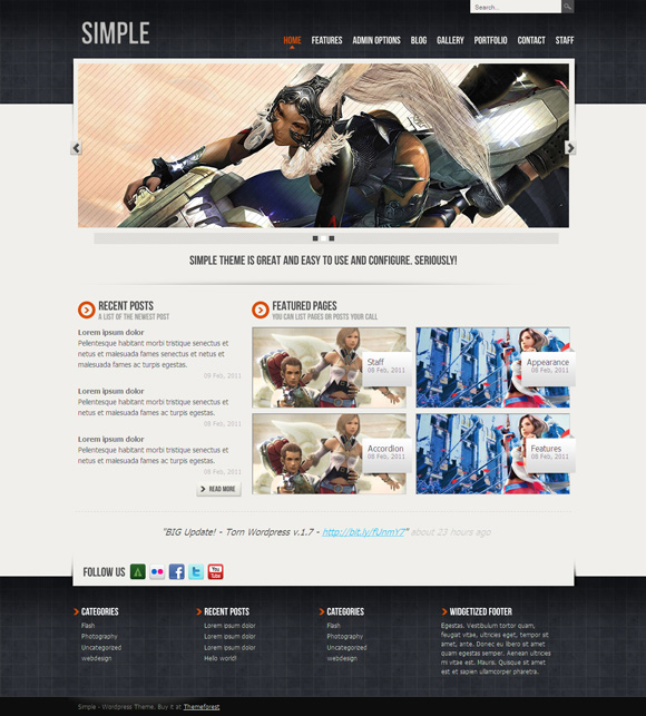 simple 40 Superb and Clean Wordpress Themes of February 2011