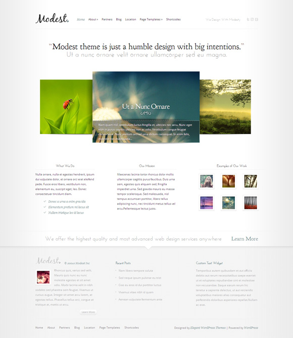 modest 35 Amazing Wordpress Themes of March 2011