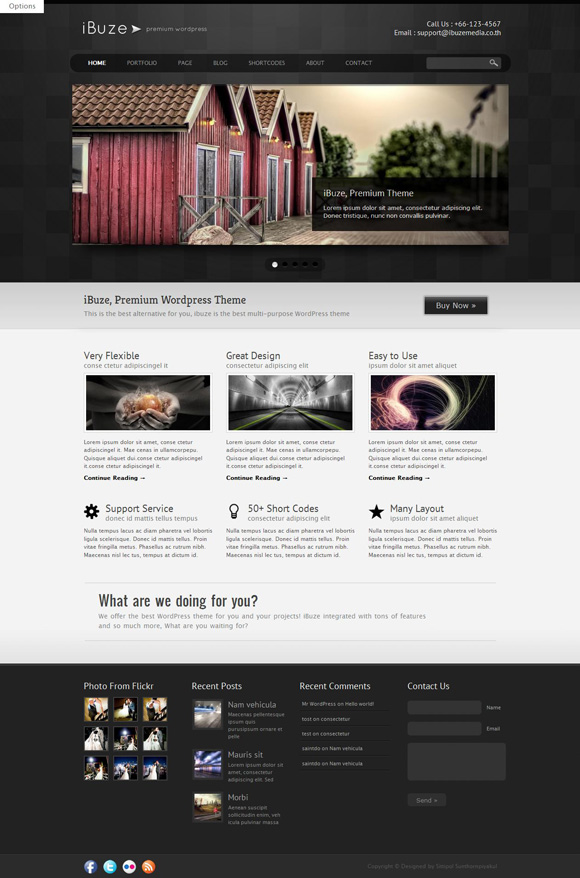 ibuze 45 Elegant and Impressive Wordpress Themes of April 2011