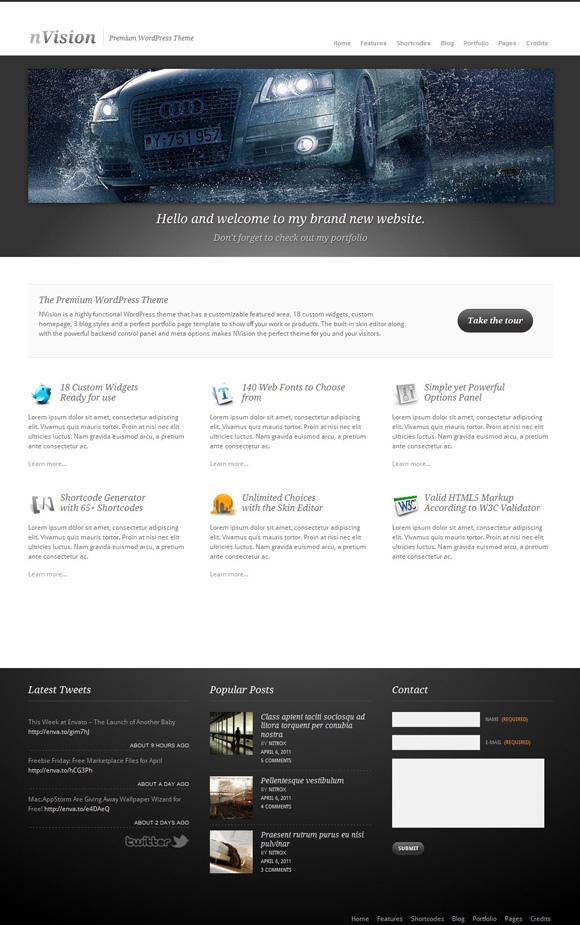 nvision 45 Elegant and Impressive Wordpress Themes of April 2011