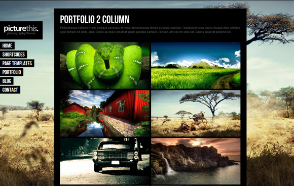 picture this 45 Elegant and Impressive Wordpress Themes of April 2011