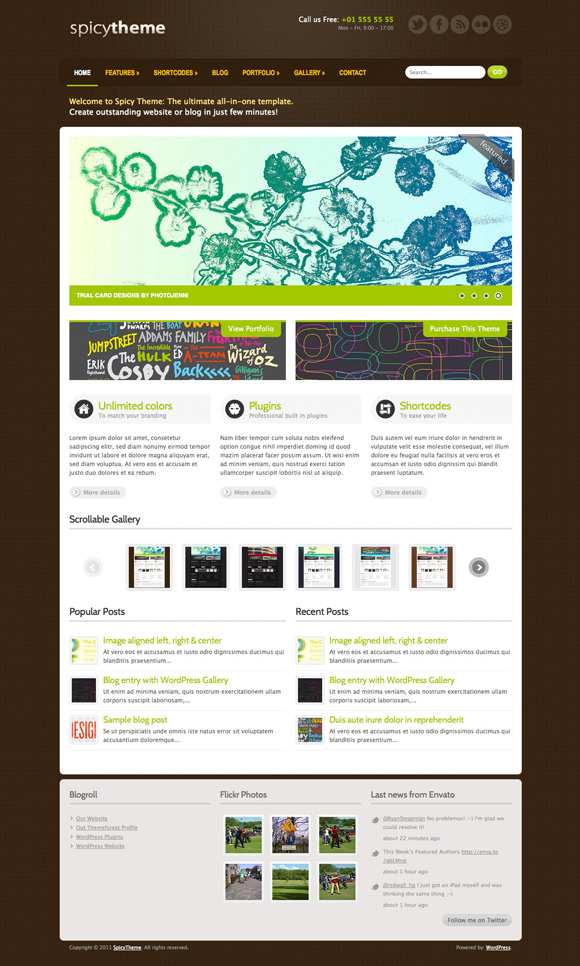 spicy theme 45 Elegant and Impressive Wordpress Themes of April 2011