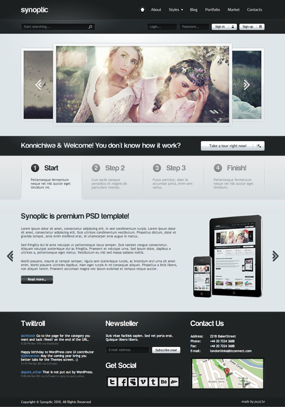 synoptic 45 Elegant and Impressive Wordpress Themes of April 2011