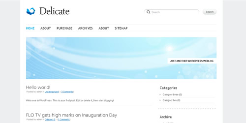 Delicate Free WordPress Theme