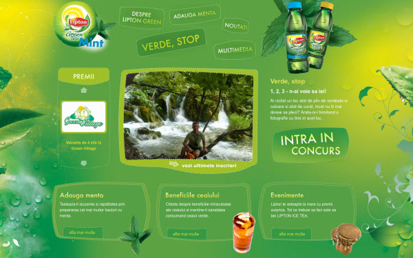 lipton green tea Showcase of Eco friendly (Green) Website Designs