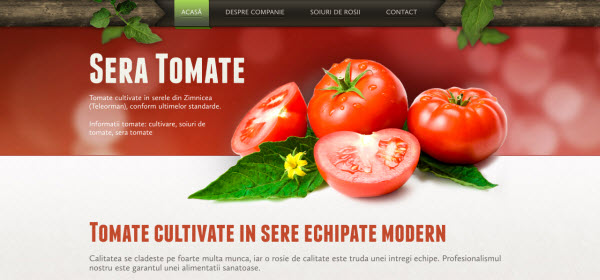 sera tomate Showcase of Eco friendly (Green) Website Designs