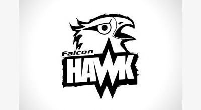 Falcon Hawk