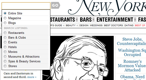 ny magazine Showcase of Beautiful Search Box UI Designs