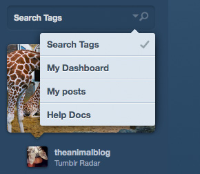 tumblr Showcase of Beautiful Search Box UI Designs