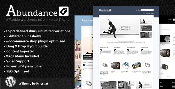 abundance The Best 50 Premium Wordpress Themes of 2011