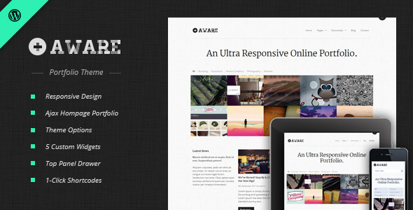 aware The Best 50 Premium Wordpress Themes of 2011