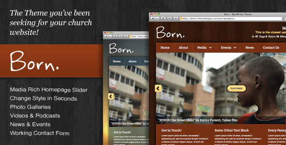 born The Best 50 Premium Wordpress Themes of 2011