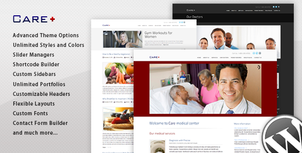 care The Best 50 Premium Wordpress Themes of 2011