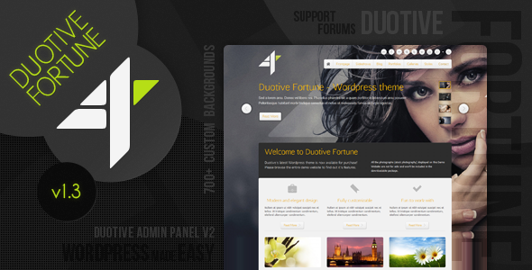 duotive fortune The Best 50 Premium Wordpress Themes of 2011