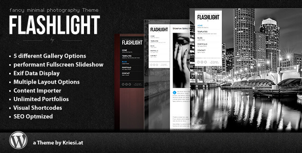 flashlight The Best 50 Premium Wordpress Themes of 2011