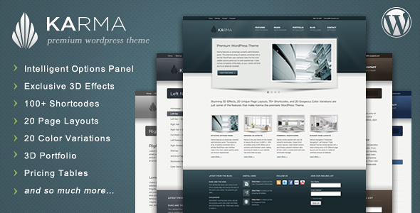 karma The Best 50 Premium Wordpress Themes of 2011