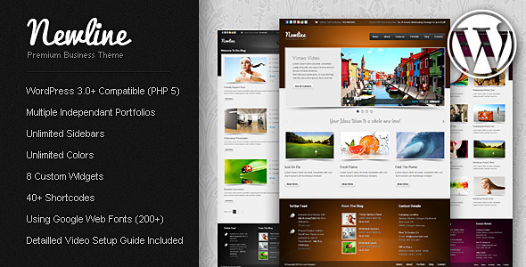 newline The Best 50 Premium Wordpress Themes of 2011