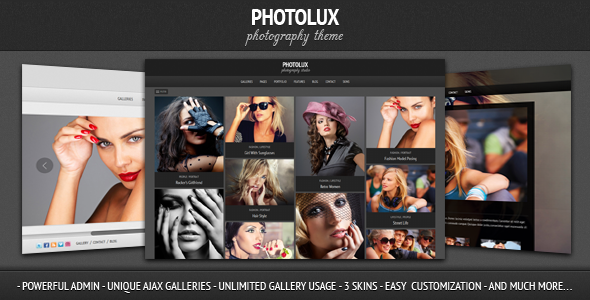 photolux The Best 50 Premium Wordpress Themes of 2011