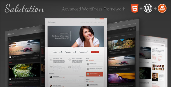 salutation The Best 50 Premium Wordpress Themes of 2011