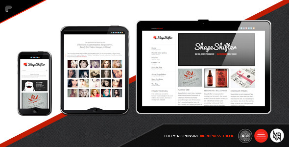 shape shifter The Best 50 Premium Wordpress Themes of 2011