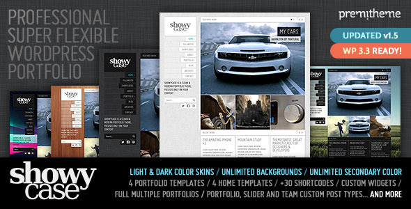 showycase The Best 50 Premium Wordpress Themes of 2011