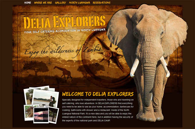 North Luangwa 20 Amazing Travel Website Designs