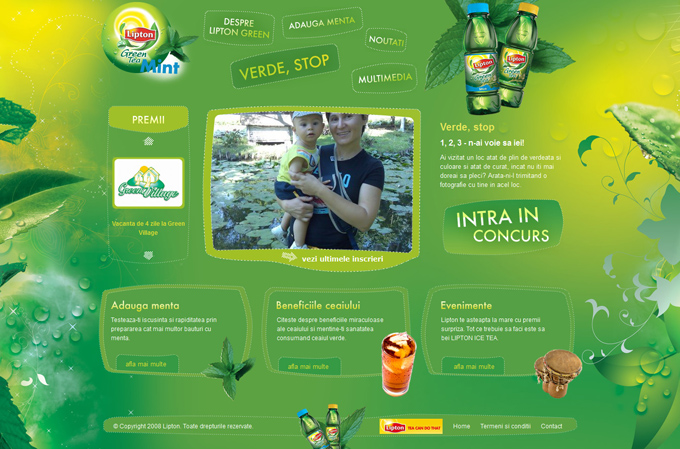 Lipton Green Tea 50 Top Designs Of Green Websites