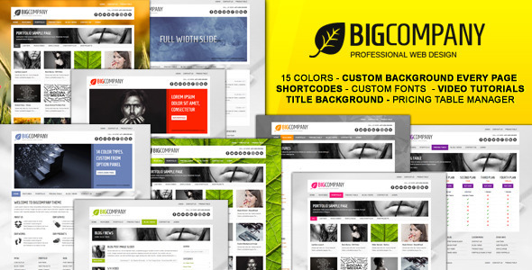 big company 60 Awesome Wordpress Themes of February 2012