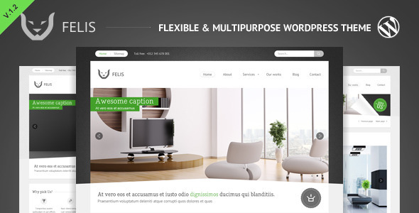 felis 60 Awesome Wordpress Themes of February 2012