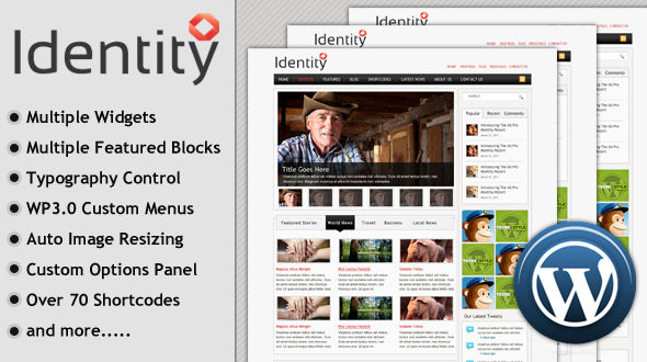 identity 60 Awesome Wordpress Themes of February 2012