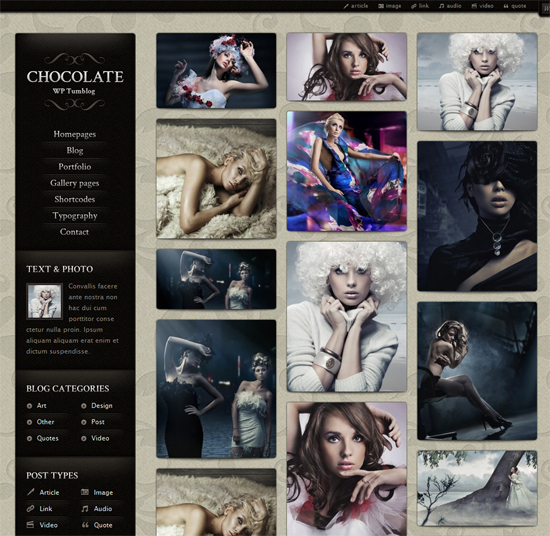 114 40 Beautiful Gallery Wordpress Themes to Insprite You