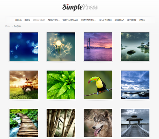 116 40 Beautiful Gallery Wordpress Themes to Insprite You