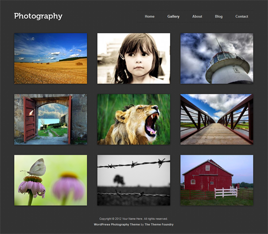 117 40 Beautiful Gallery Wordpress Themes to Insprite You