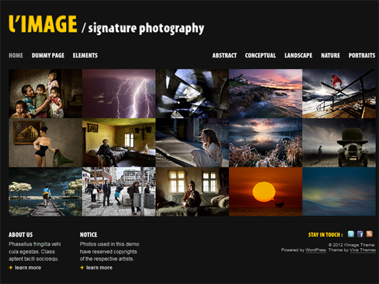 202 40 Beautiful Gallery Wordpress Themes to Insprite You