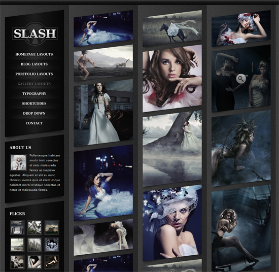 214 40 Beautiful Gallery Wordpress Themes to Insprite You