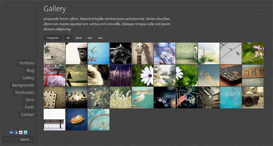 222 40 Beautiful Gallery Wordpress Themes to Insprite You