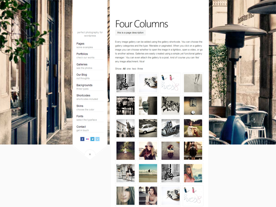 45 40 Beautiful Gallery Wordpress Themes to Insprite You