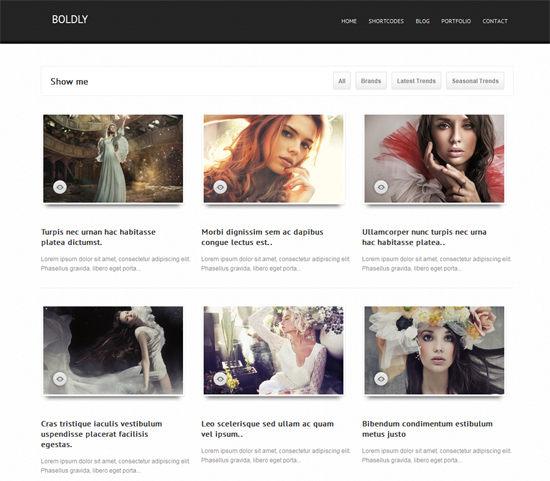 55 40 Beautiful Gallery Wordpress Themes to Insprite You