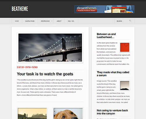 instantShift - New High-Quality Free WordPress Themes