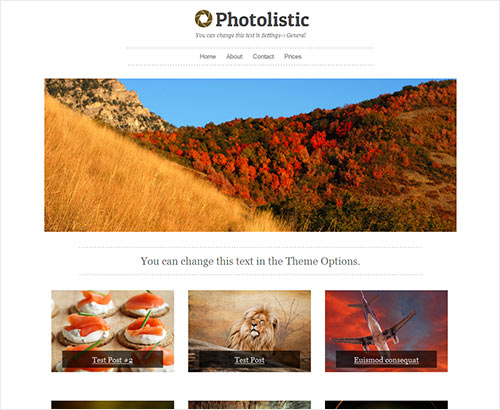 instantShift - New High-Quality Free WordPress Themes
