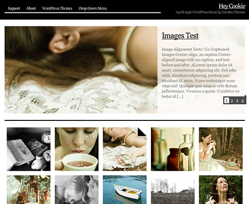 instantShift - New High-Quality Free WordPress Themes