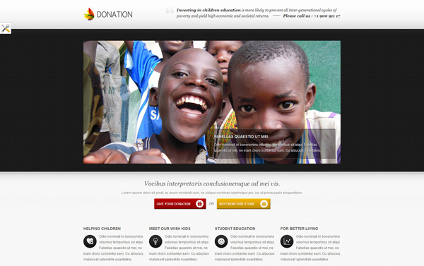 Donation landing page template - responsive