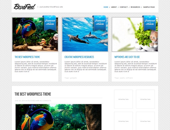 BoxiFied 35 Free and Professional looking WordPress Themes