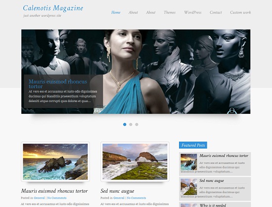 CalenotisMagazine 35 Free and Professional looking WordPress Themes