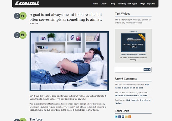 Casual 35 Free and Professional looking WordPress Themes
